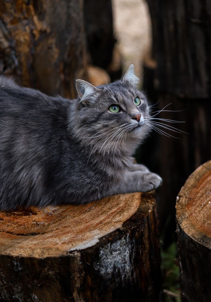 Photograph by Валентина Зуб