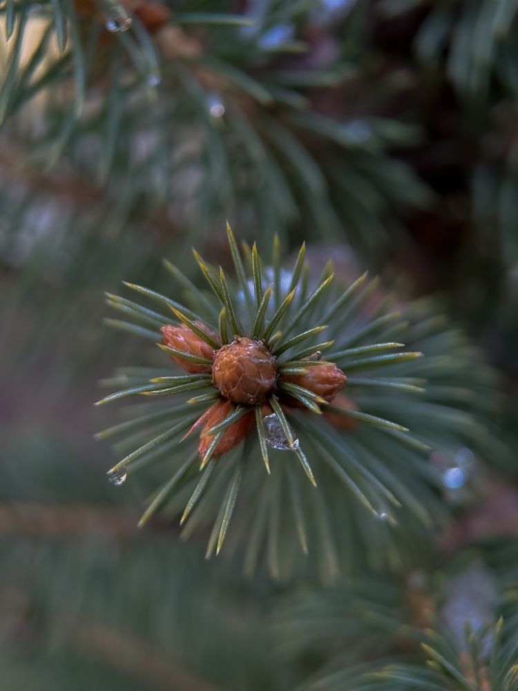 Photograph by Ксения Литвиненко