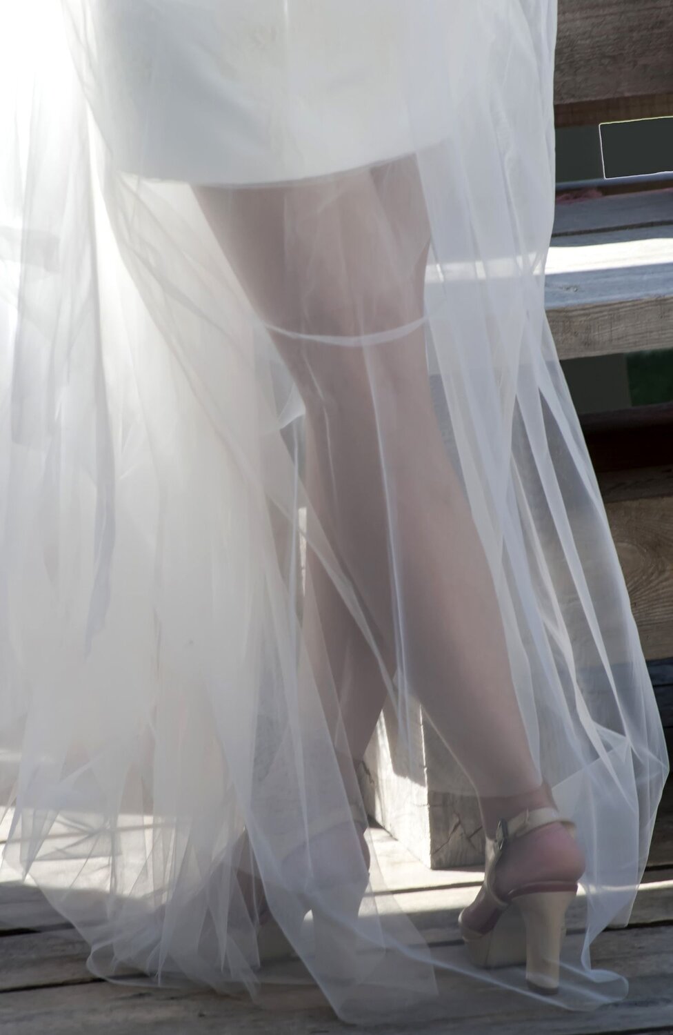 Photo #11658836