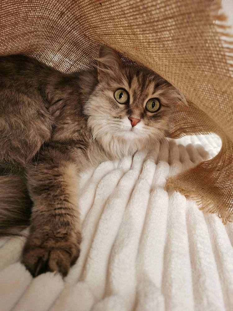 Photograph by Гульназ Шайхисламова