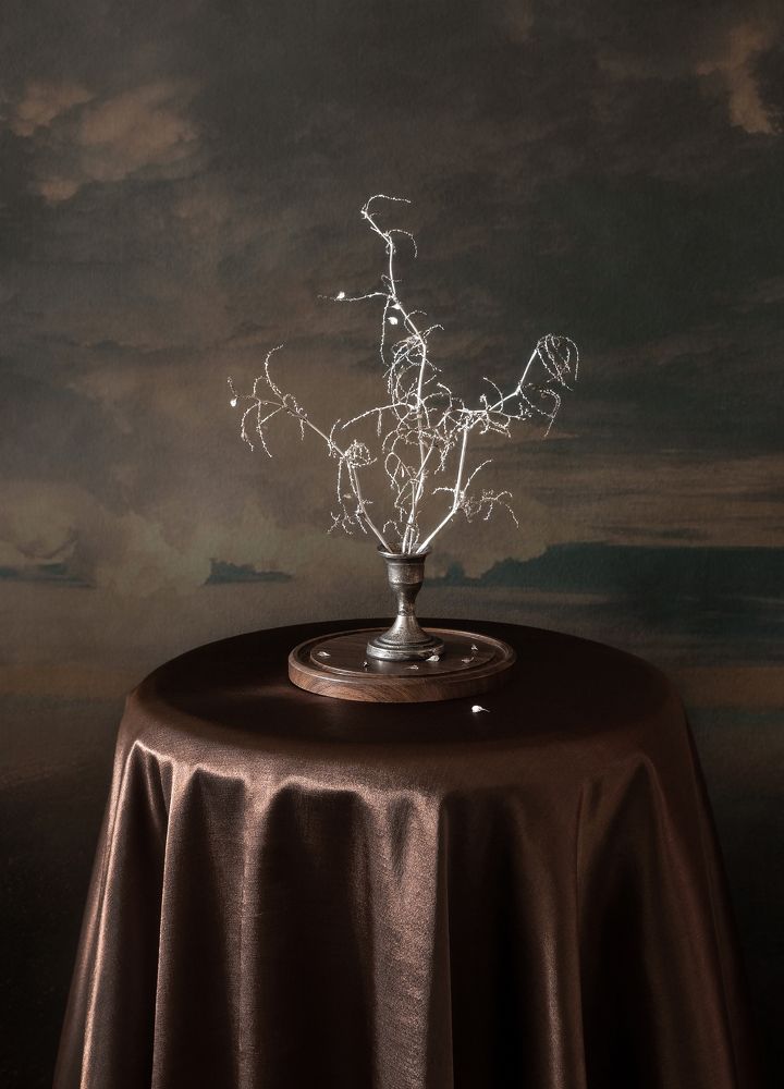 Photograph by Тришина Галина