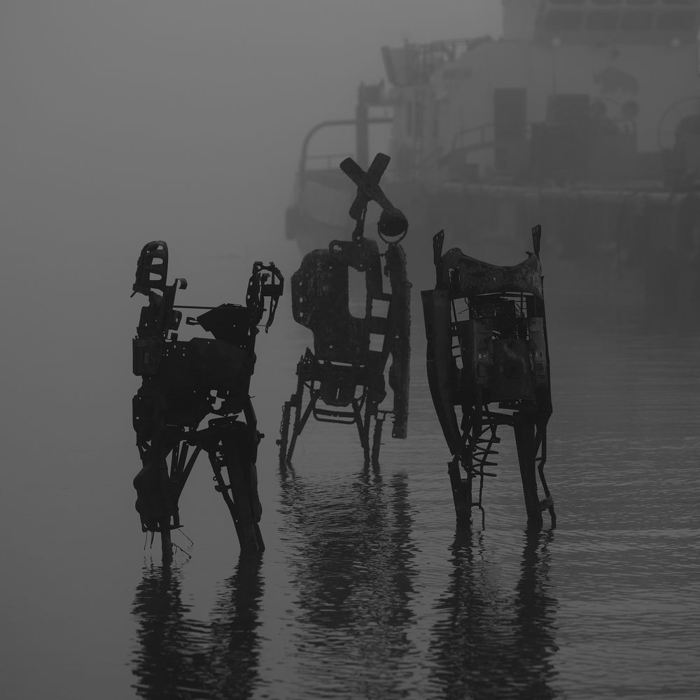 Photograph by Tomasz Dunajski