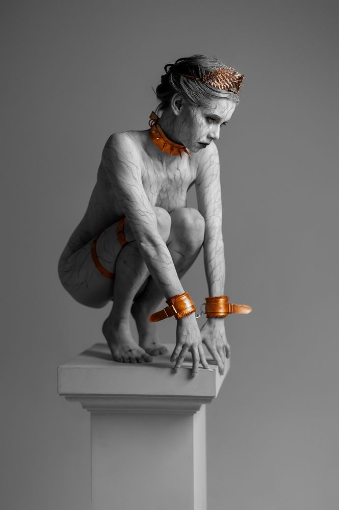 Фотография автора Михаил Бушенёв