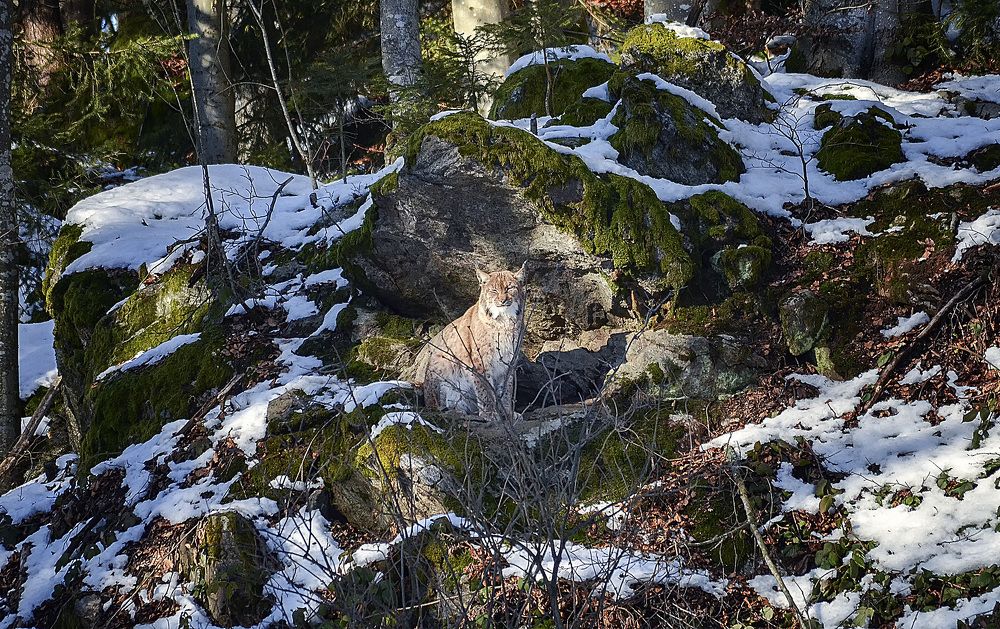 Фотография автора Александр