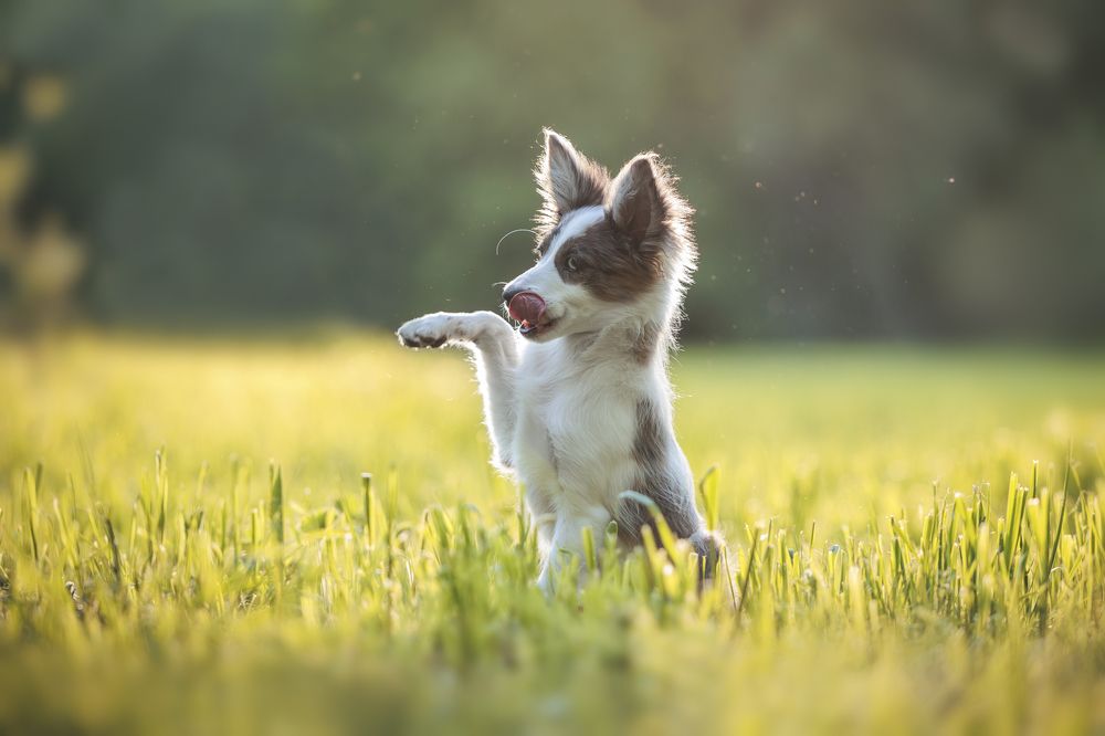 Photograph by Шитиков Владимир