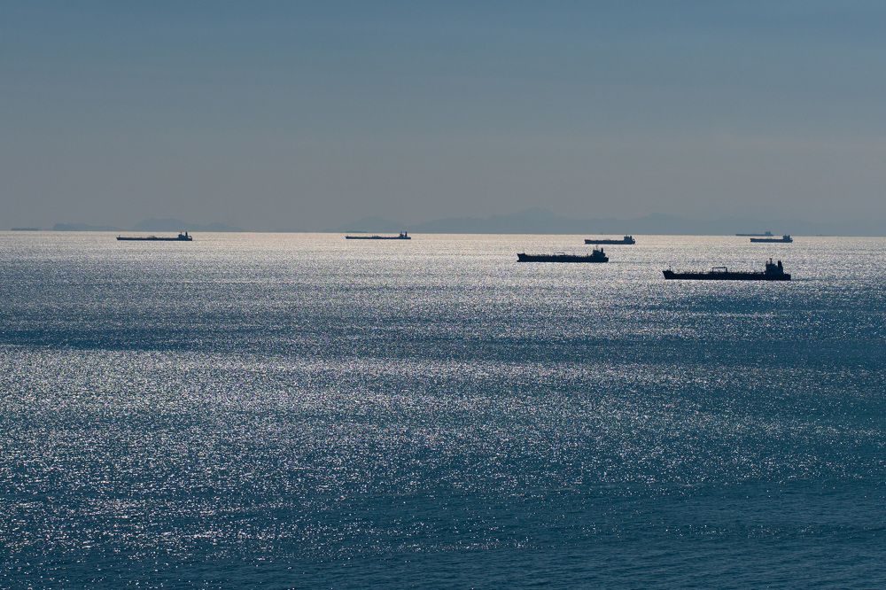 Фотография автора Светлана Зимина