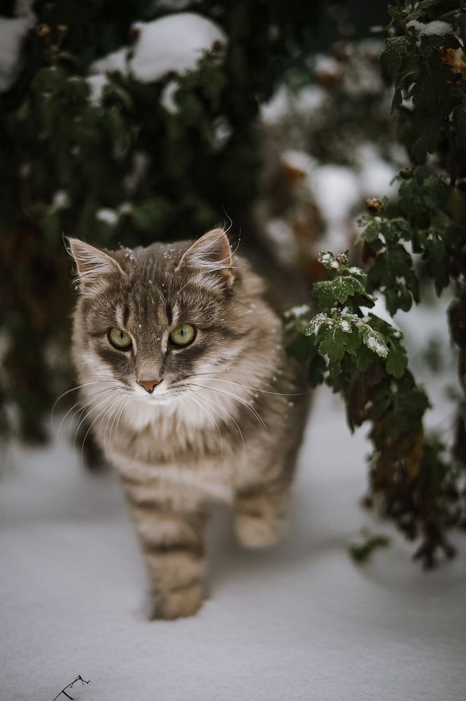 Photograph by Валентина Зуб