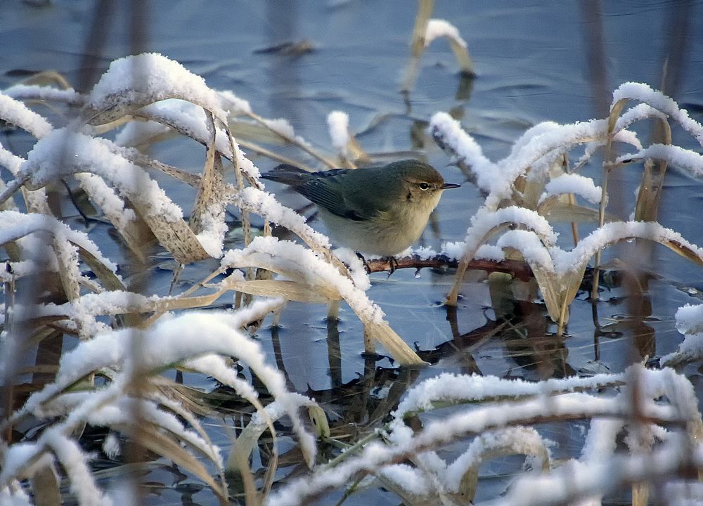 Фотография автора Александр