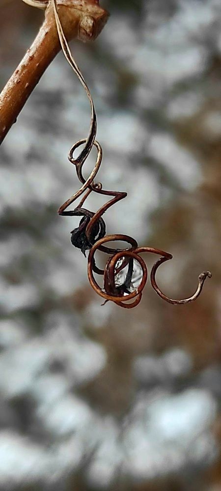 Фотография автора Татьяна Солтан