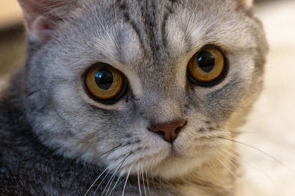 Photograph by Alexandr