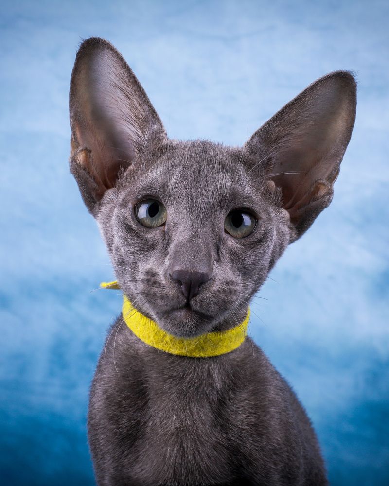 Photograph by Альвина Кузнецова