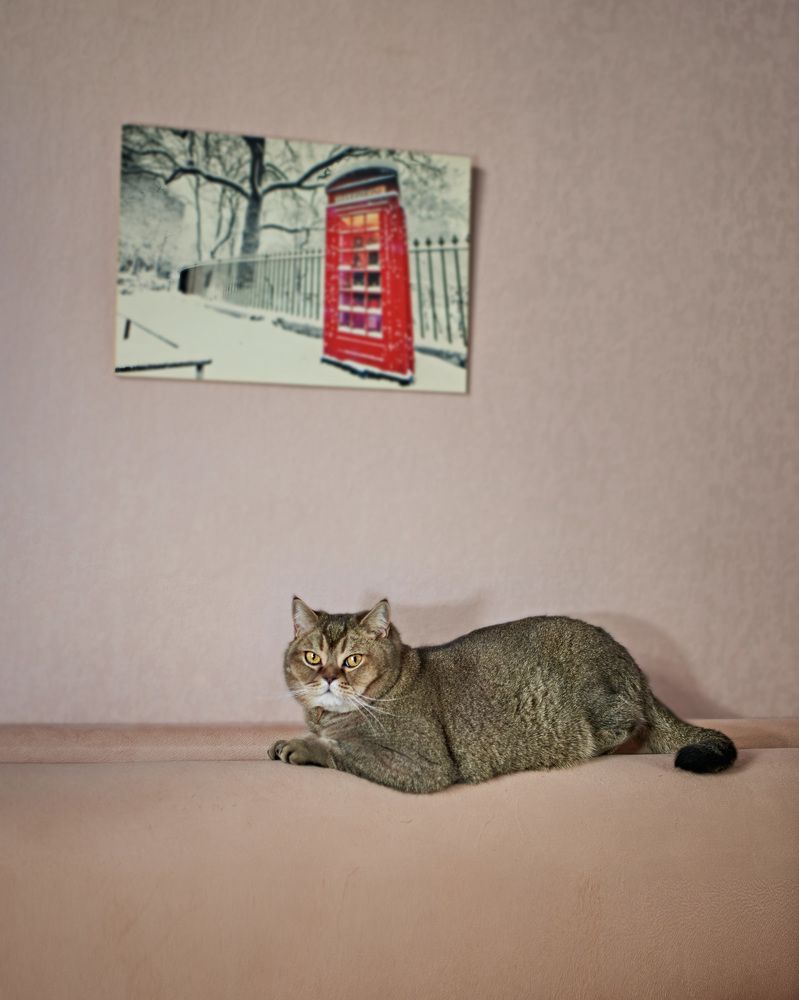 Photograph by Виталий Титов