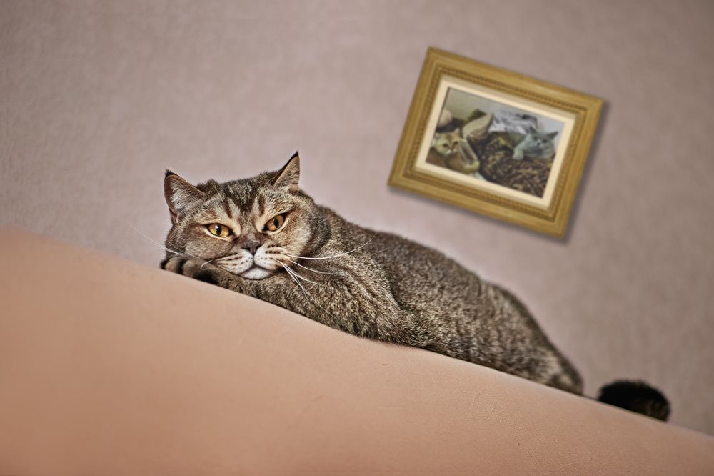 Photograph by Виталий Титов