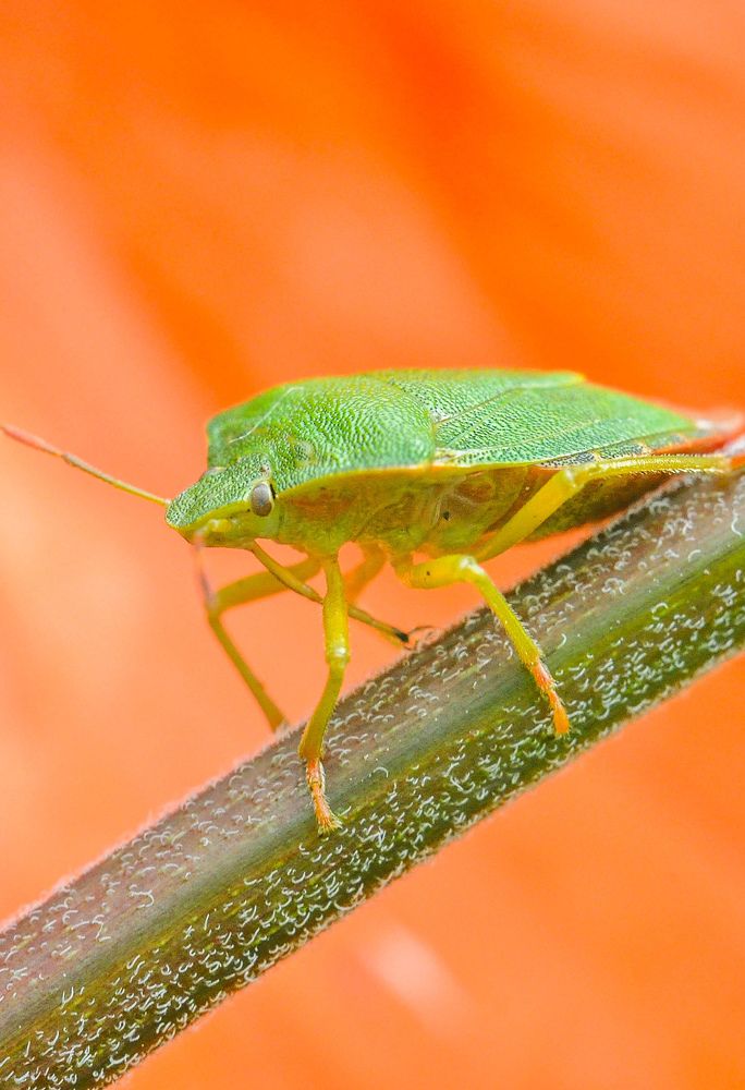 Photograph by Олеся zme