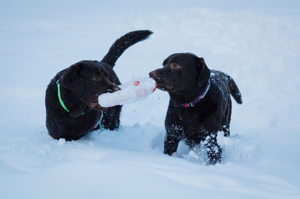 Photograph by Стрижаченко Инга