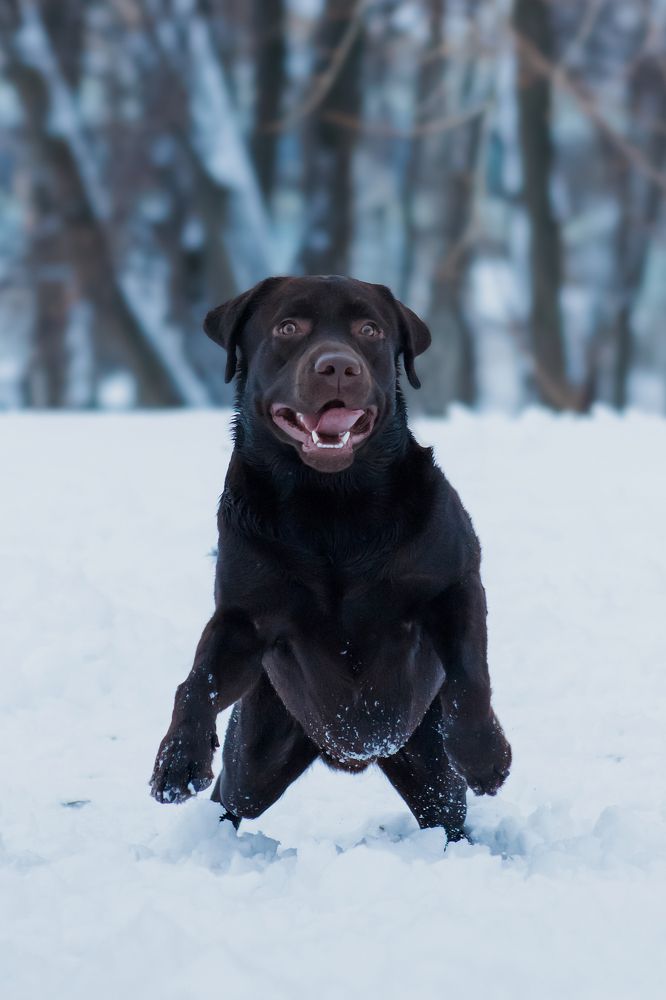 Photograph by Стрижаченко Инга