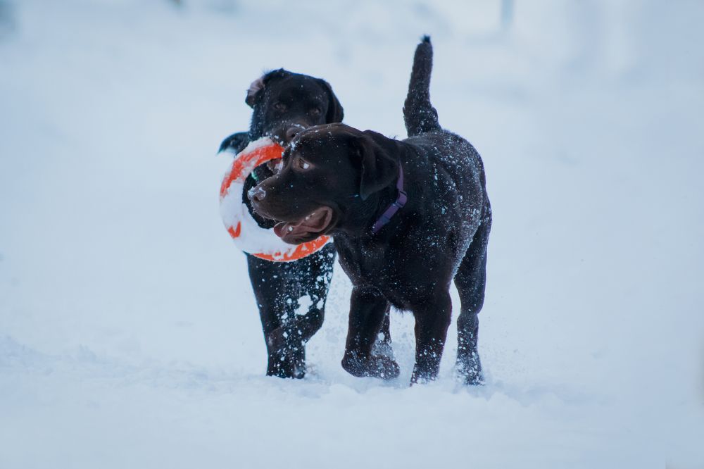 Photograph by Стрижаченко Инга