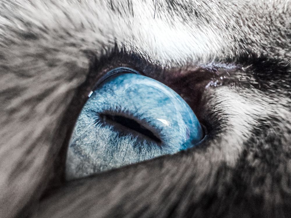 Photograph by Ника Обида