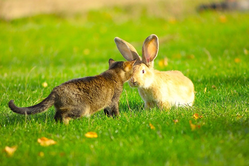 Фотография автора Михаил Лупина