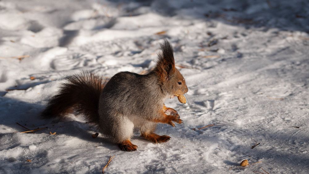 Photograph by Вадим Басов