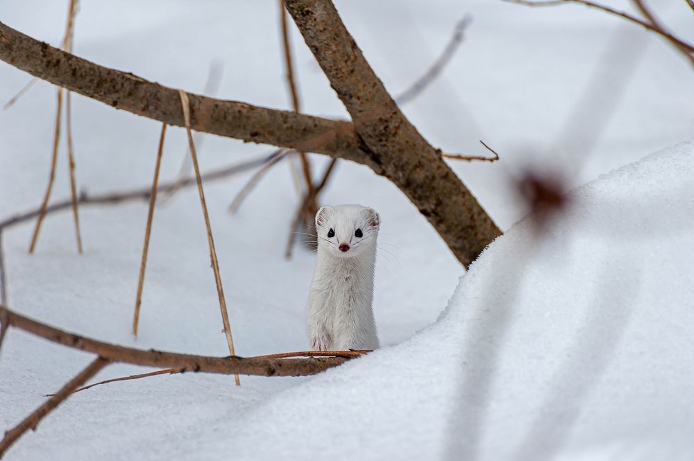 Photograph by Вадим Басов