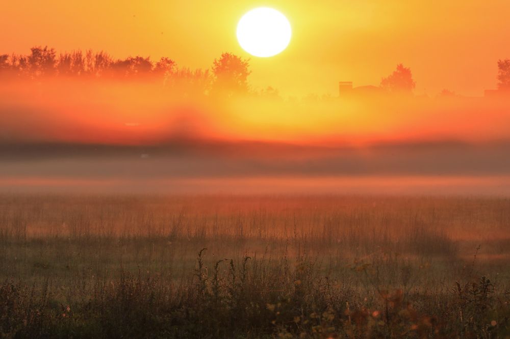 Photograph by Сергей Конюшенко