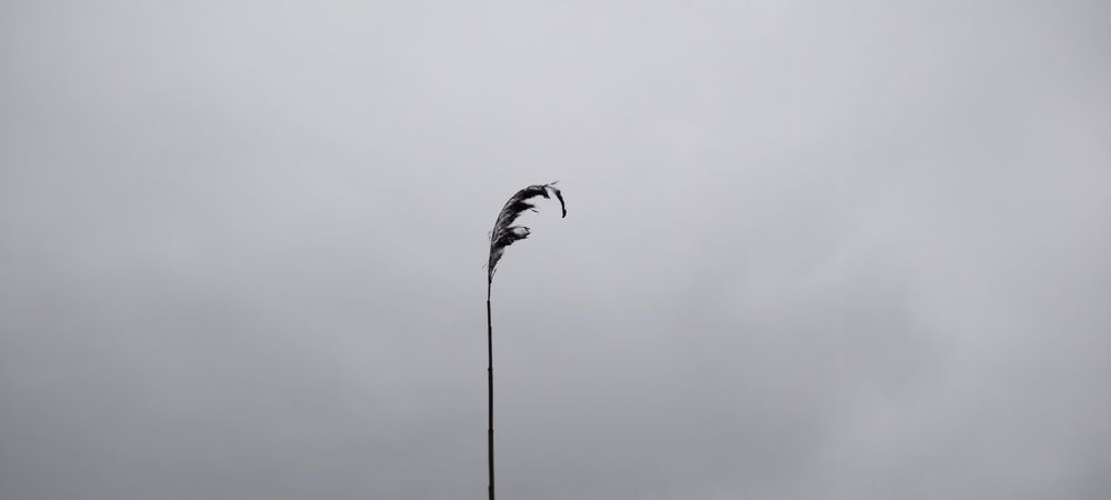 Photograph by Дарина Макарова