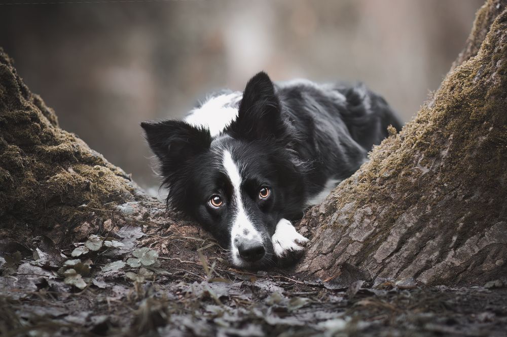 Photograph by GRISELDA FERNANDEZ