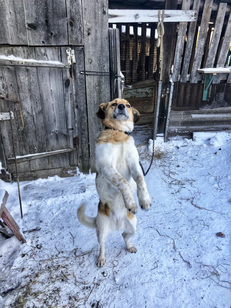 Photograph by Ирина Селиверстова