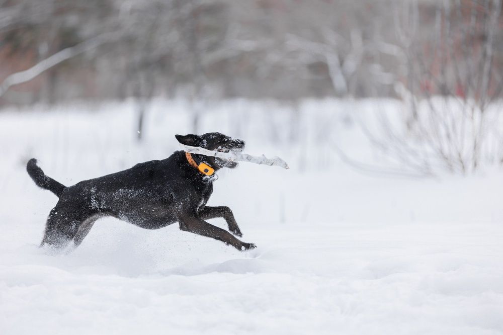 Photograph by Антон Чепуркин