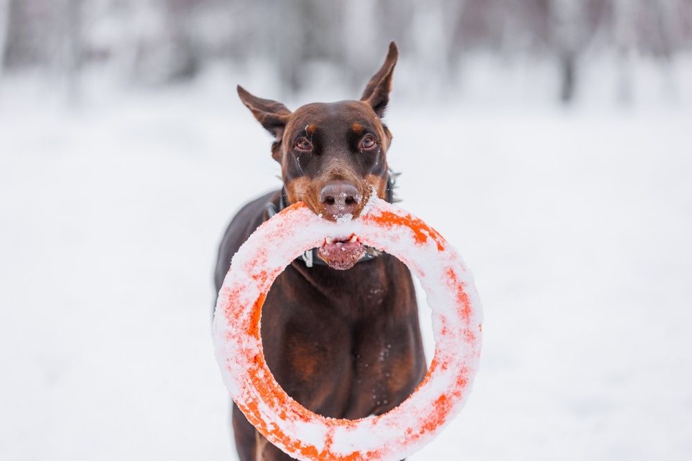 Photograph by Антон Чепуркин