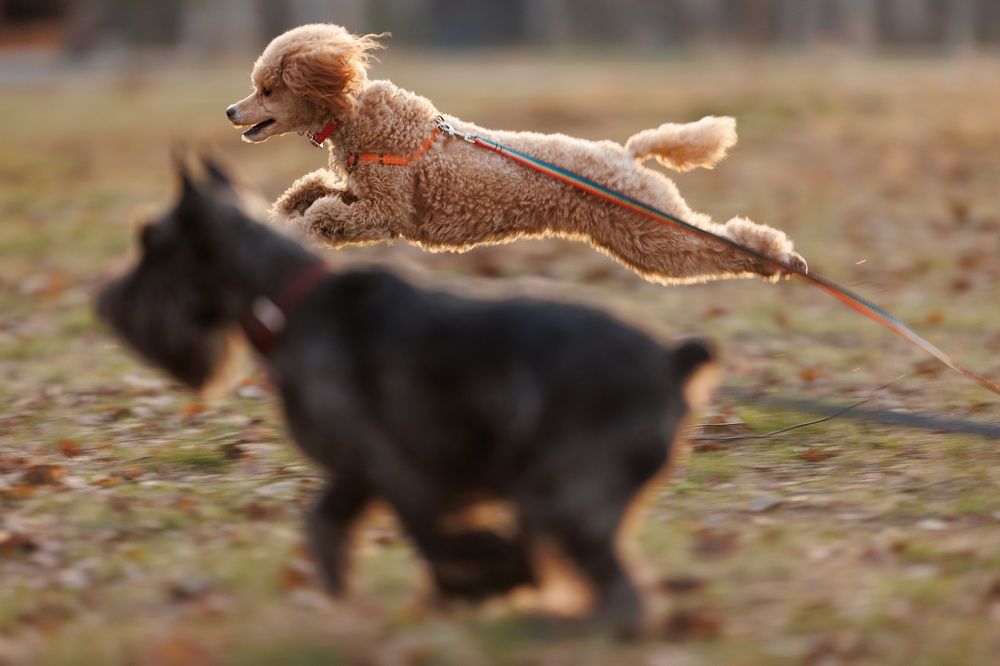 Photograph by Антон Чепуркин