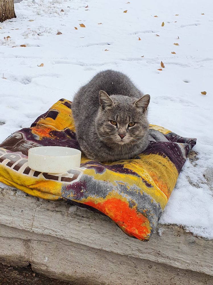 Photograph by Дарья Целуйко