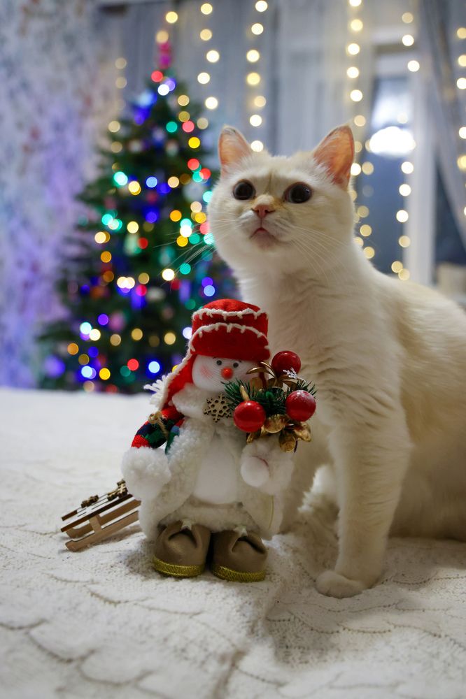 Photograph by Дарья Целуйко