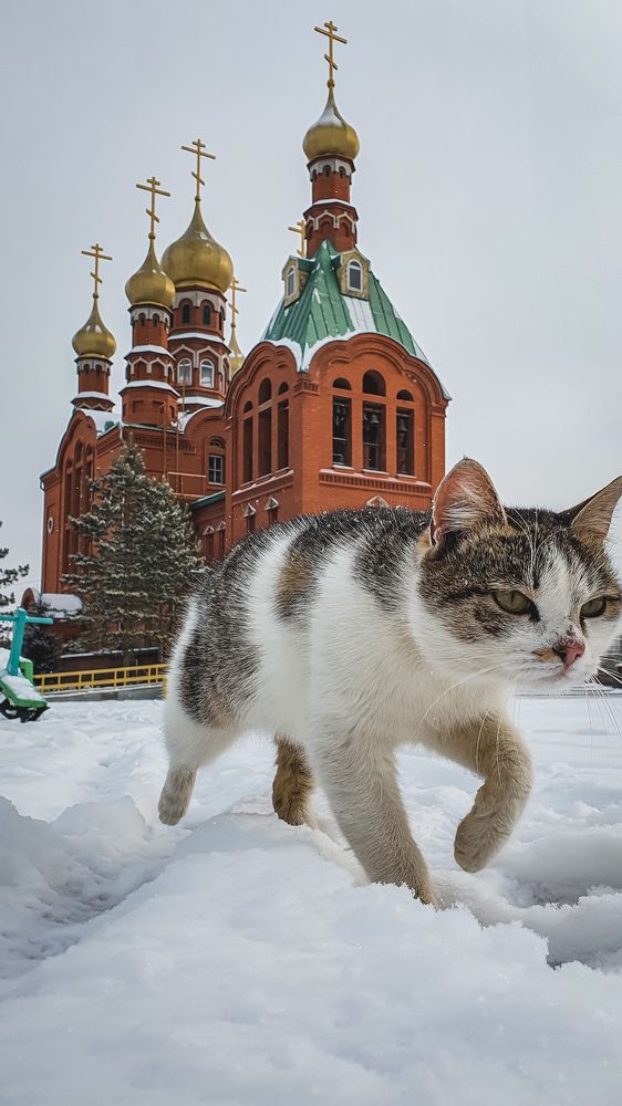 Photograph by Дарья Целуйко