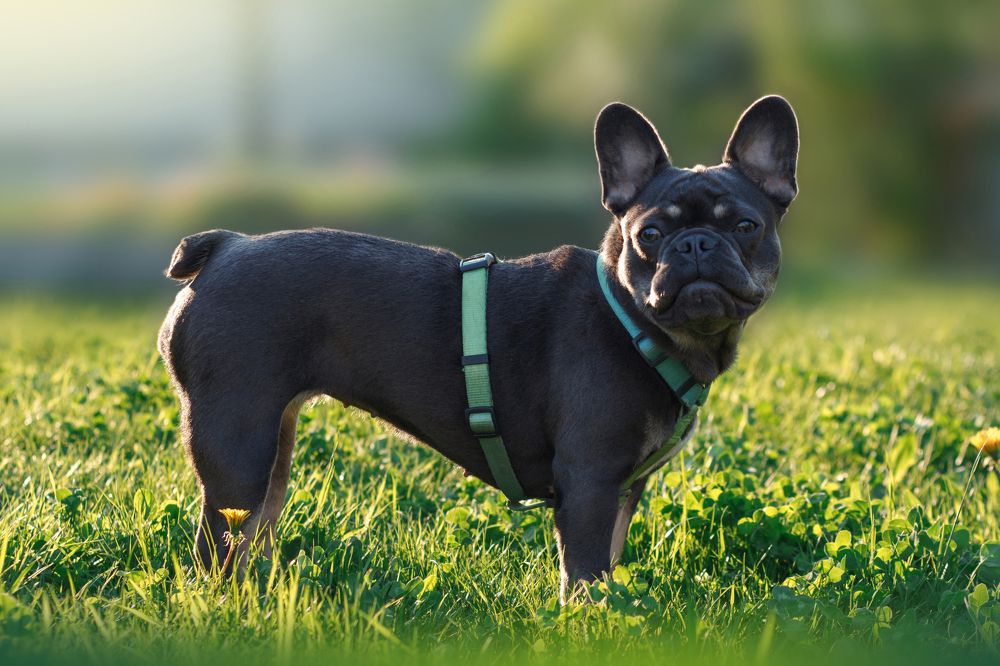 Photograph by Стрижаченко Инга