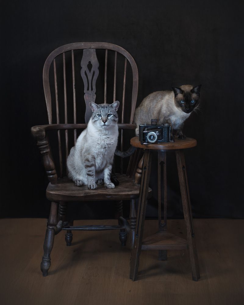 Photograph by LYUDMYLA POKRYSHEN