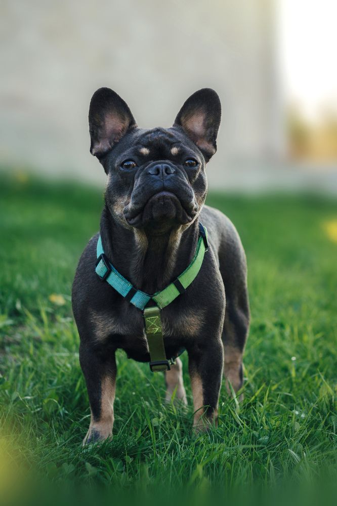 Photograph by Стрижаченко Инга