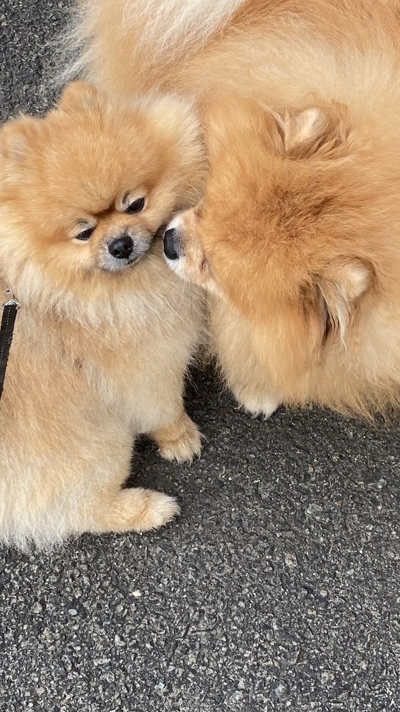 Фотография автора Татьяна Ахрахадзе