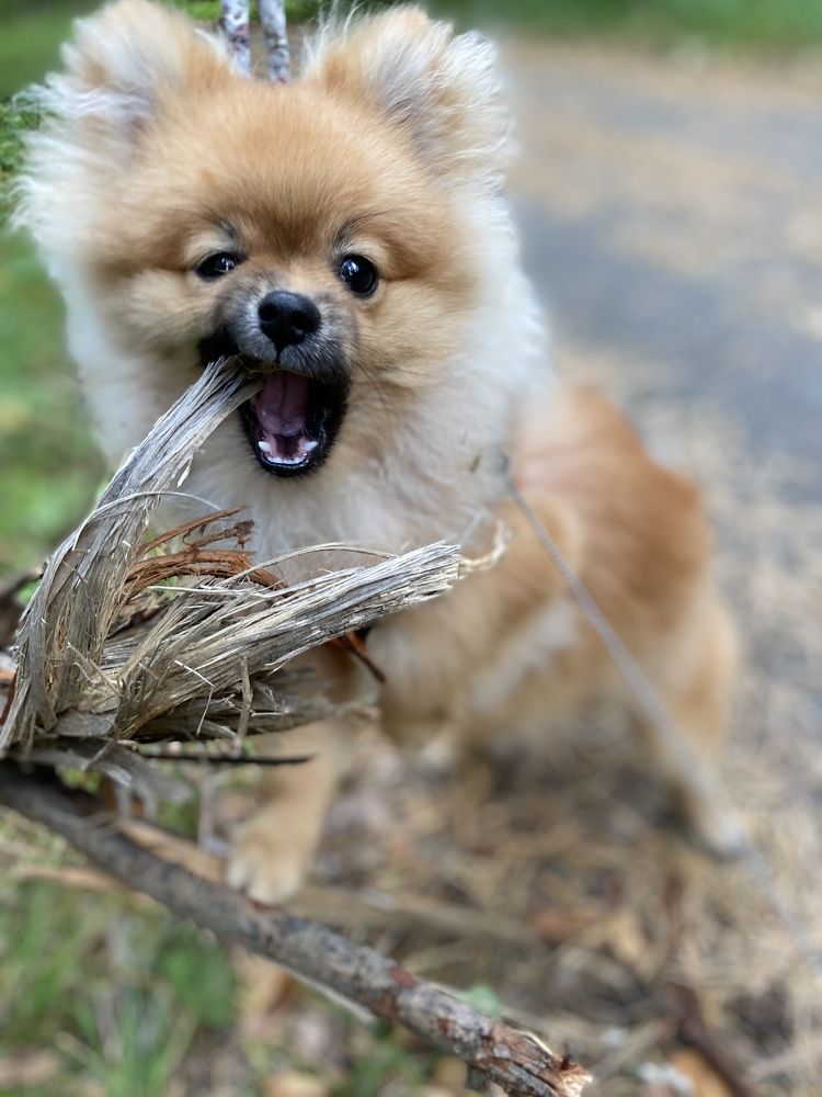 Фотография автора Татьяна Ахрахадзе