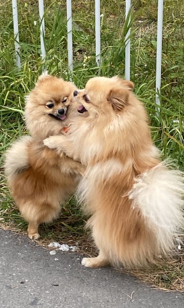 Фотография автора Татьяна Ахрахадзе