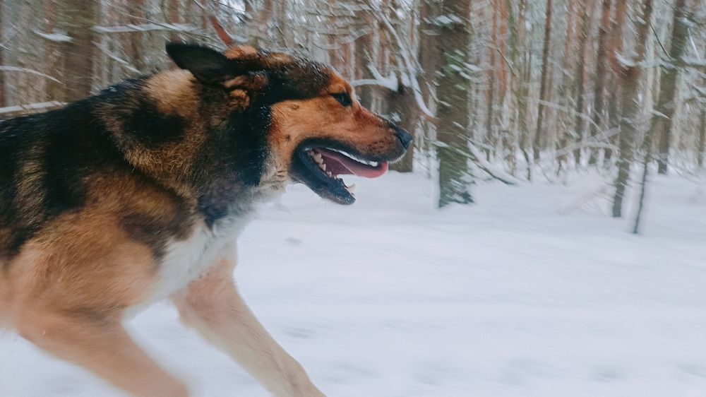 Photograph by Татьяна Пятернёва