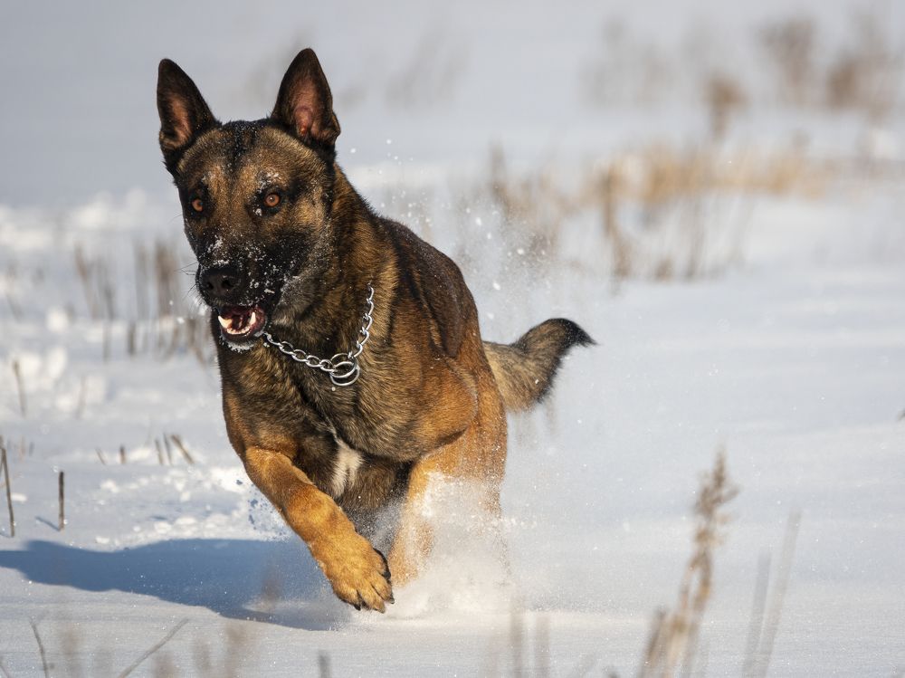 Photograph by Владимир Зайцев