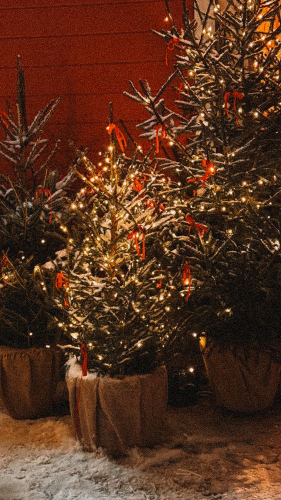 Photograph by Елена Гребенюк