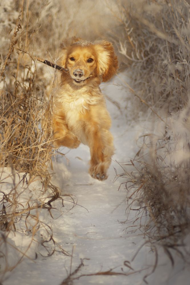 Photograph by Татьяна Чуркина