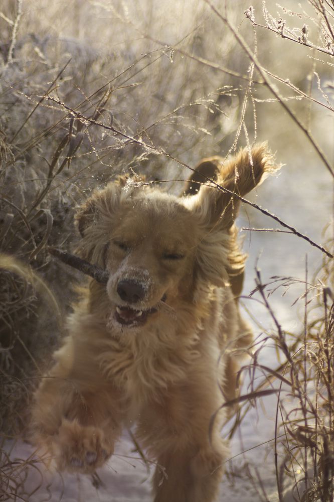 Photograph by Татьяна Чуркина