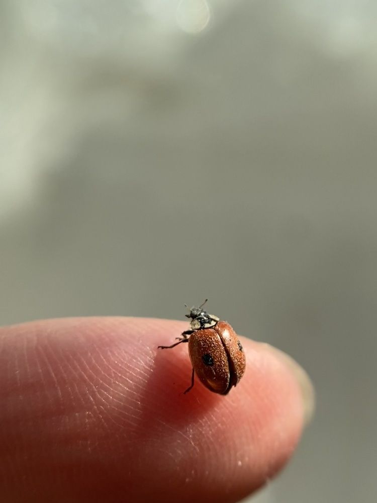 Photograph by Станислава Садыкова