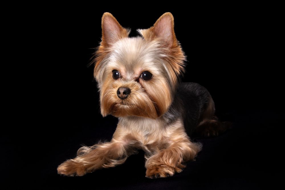 Photograph by Елена Лапочкина