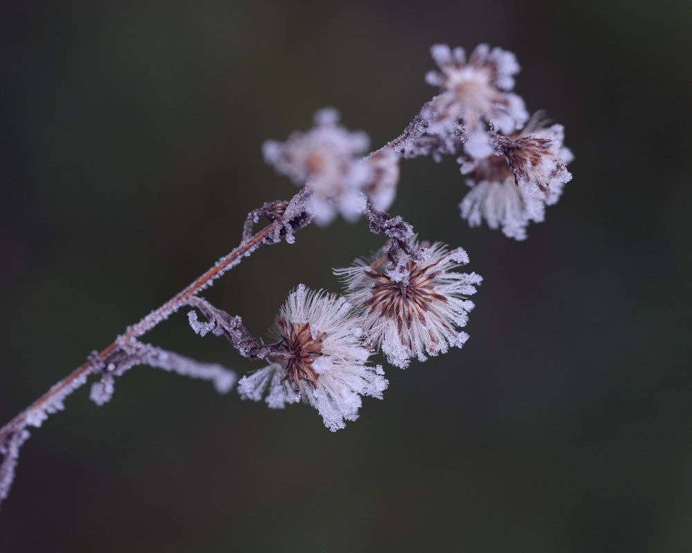 Фотография автора Nastasya Sablina