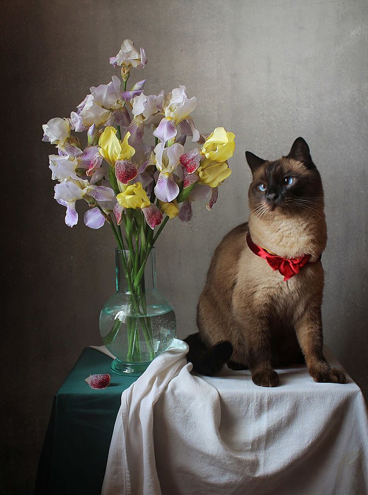 Photograph by Курочкина Диана